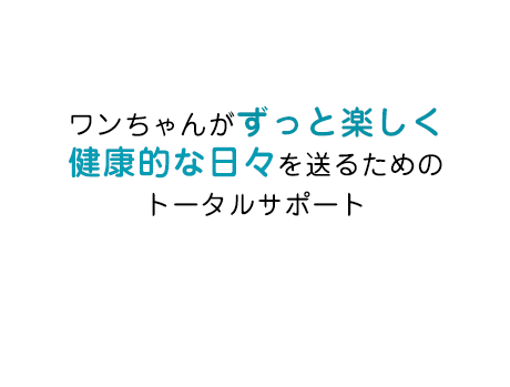 その子の魅力をしっかり引き出すトリミング